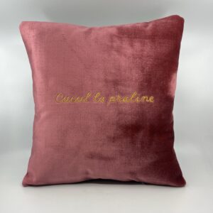 Coussin, « Cucul la praline » Velours rose