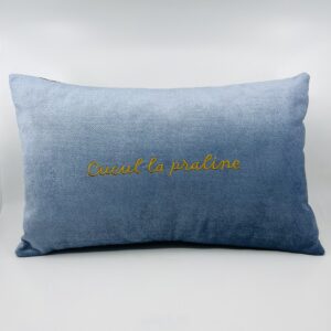 Coussin, « Cucul la praline »Velours bleu