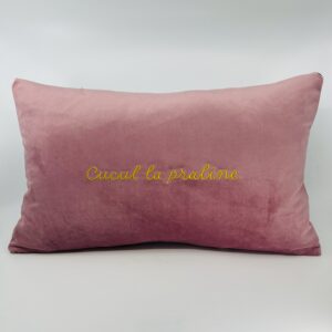 Coussin, « Cucul la praline » Velours rose pâle